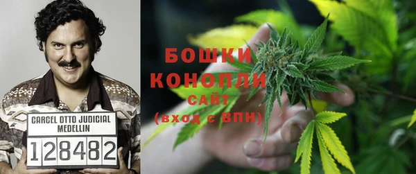 гашик Вязники