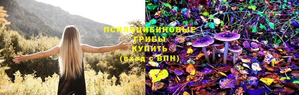 МДМА Сосновка