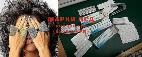 spice Сосновый Бор