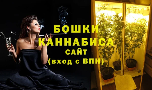 Альфа ПВП Вязьма