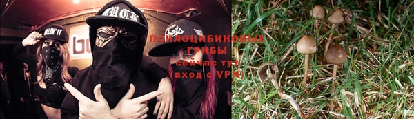 spice Сосновый Бор
